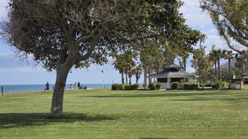 Parque frente al mar en Benicàssim con gran árbol, césped verde, pabellón, palmeras y vista al Mediterráneo