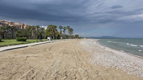 Playa de arena en Benicàssim con palmeras, apartamentos y Mar Mediterráneo bajo cielo nublado