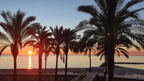 Vista del atardecer desde Villa Pilar en Benicàssim con palmeras recortadas contra el cielo anaranjado y el mar en Castelló, España