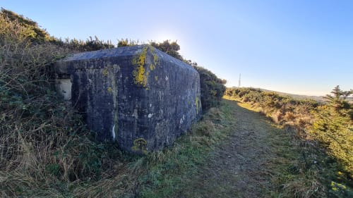 Bunker en béton abandonné envahi de mousse près de Sangatte, France - structure historique de la Seconde Guerre mondiale sur le littoral