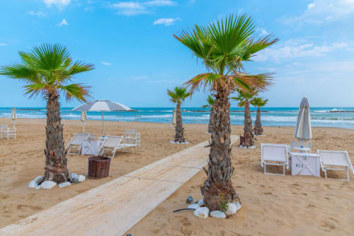 Area spiaggia con palme, ombrelloni e lettini presso l'hotel Vahospitality in Francia