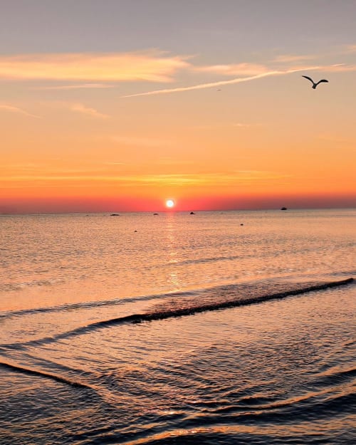 Tramonto dorato sulle acque tranquille dell'oceano con un uccello in volo, splendida vista spiaggia presso Vahospitality hotel in Italia
