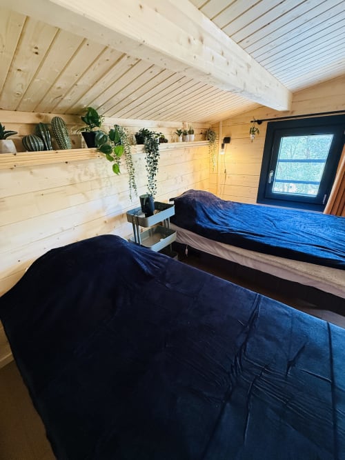 Chambre cosy au chalet avec murs en bois, deux lits à literie bleue, plantes en pot sur étagères et fenêtre à cadre noir