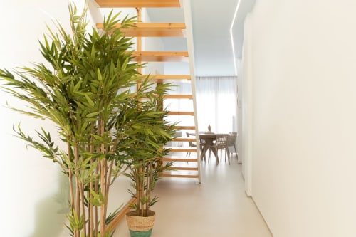 Pasillo moderno en Ona vacaciones en Gandía con planta de bambú y escalera de madera hacia dúplex con vista a la piscina