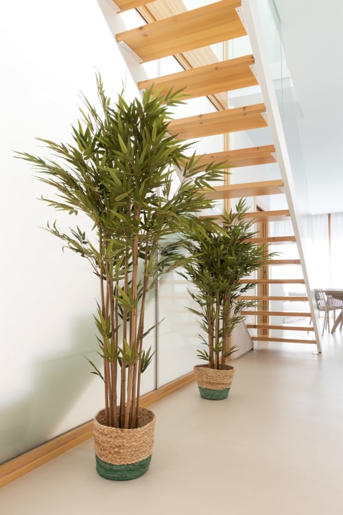 Plantas de bambú en cestas tejidas bajo las escaleras de madera del dúplex Ona Vacaciones en Gandía