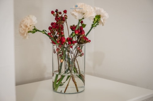 Elegante composizione di garofani crema e bordeaux in vaso di vetro presso House Live Express, appartamento a Cagliari
