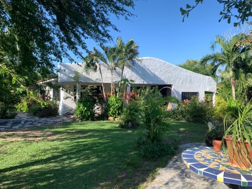White modern bungalow with palm trees and lush garden at El Litoral Wellness Retreat, PA