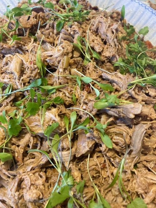Shredded meat garnished with fresh cilantro and green onions at Agriturismo Colle Mura in Gualdo Tadino, Italy