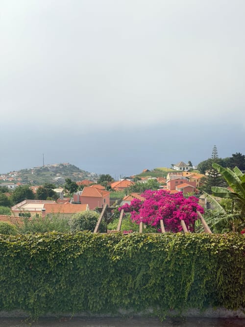 Villa Sunshine 85 em Ribeira Brava com vibrantes flores de buganvília magenta, edifícios com telhados de barro e verde