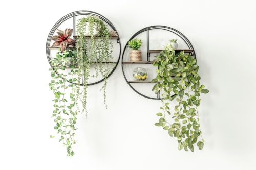 Dois floreiras circulares fixadas na parede com plantas cascata e verdejante no hotel Villas Simone