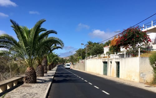 Rua arborizada com palmeiras em Villas Simone, casarões brancos e flores vermelhas, 9400-155