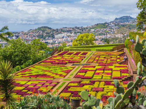 Jardim de flores coloridas em Villas Simone com vista sobre o Funchal, Madeira, com flores vermelhas e amarelas em padrões geométricos