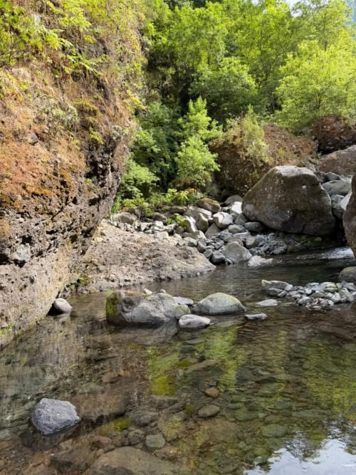 Riacho de montanha com leito rochoso e floresta verdejante no Refúgio do Nevoeiro em São Vicente, Portugal