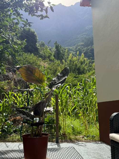 Pátio com vista para a montanha e planta ave-do-paraíso em vaso, com vista para o vale verdejante na pousada Refúgio do Nevoeiro, São
