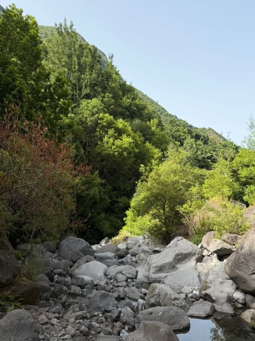 Riacho rochoso com pedras entre montanhas exuberantes no Refúgio do Nevoeiro em São Vicente, Portugal