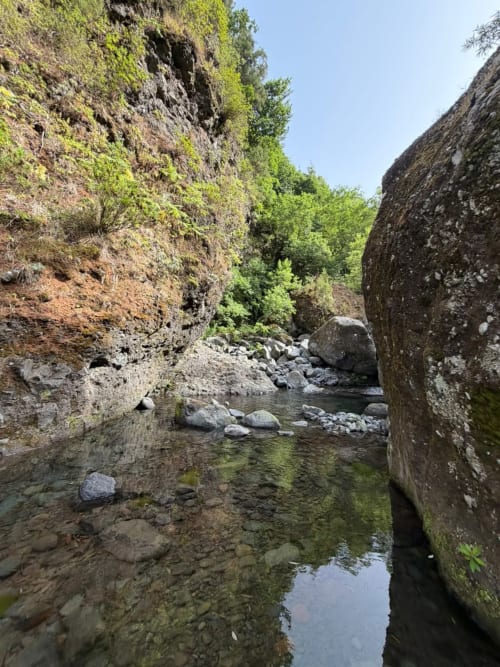 Tranquilo riacho de montanha fluindo entre rochas cobertas de musgo na Refúgio do Nevoeiro, São Vicente Portugal