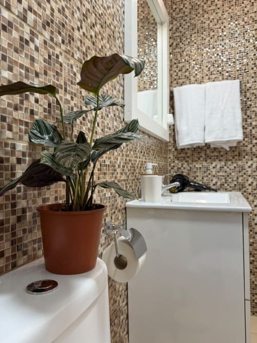 Banheiro moderno na pousada Refúgio do Nevoeiro com azulejos em mosaico, plantas em vasos, pia branca e toalheiro