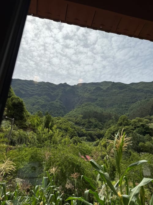 Vista do vale da montanha desde a cottage em Refúgio do Nevoeiro, São Vicente, com colinas verdejantes e plantação de milho