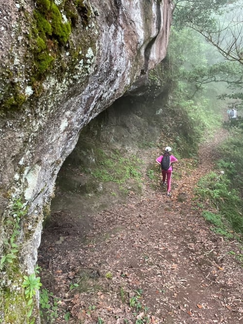 Corredor fazendo jogging na trilha da floresta sob o penhasco rochoso do Refúgio do Nevoeiro em São Vicente