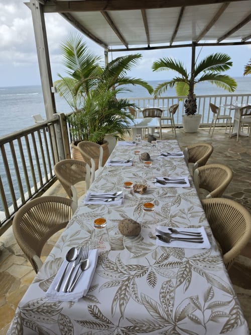 Seaside dining setup at Clémara Evasion, Martinique with long table, place settings, palm plants, and ocean view from covered