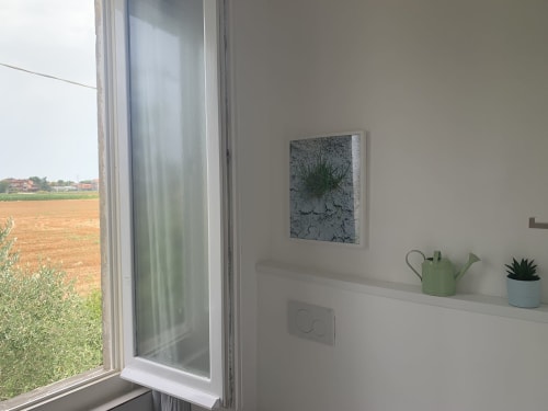 Camera Ca' Salino Mare nella Villa Inferno con vista giardino dalla finestra, mensola con annaffiatoio verde e pianta grassa