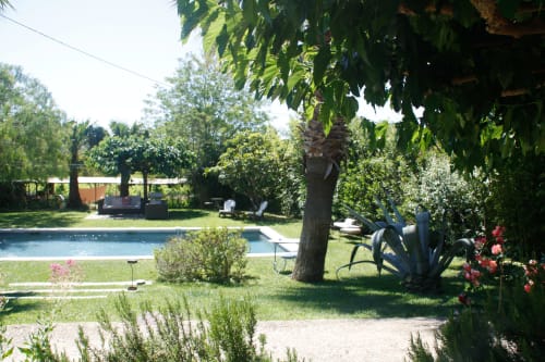 Jardin du Clos BB avec piscine, arbres matures, plantes tropicales et espace de détente à Saint-Cyr sur Mer