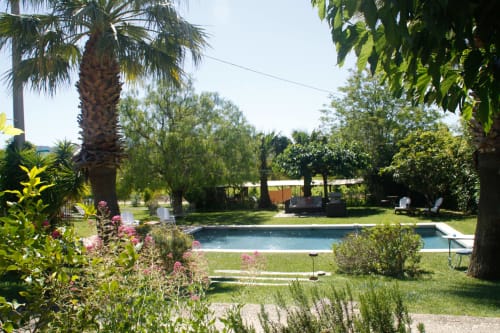 Espace piscine du Clos Bb avec palmiers, jardins fleuris et transats à Saint-Cyr sur Mer
