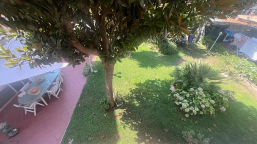 Vista del giardino di MAISON TIZI a Fiumicino Roma, con prato rigoglioso, piante fiorite e terrazza ombreggiata