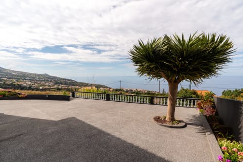 Spacious terrace at Michaels Garden apartment with palm tree, balustrade railing, and panoramic garden views in Estreito da