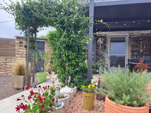 Jardin de terrasse de La Clé Du Maumont avec fleurs rouges, pergola couverte de lierre et chaumière en pierre à Sainte-Féréole