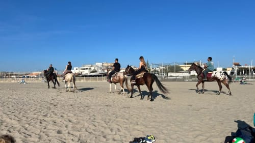 Escursione a cavallo in gruppo sulla spiaggia sabbiosa vicino a Fiumicino Roma, attività costiera presso Maison Tizi