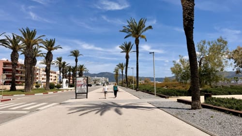Paseo flanqueado de palmeras en Holidays Costa Brava de Empuriabrava con apartamentos modernos, vistas al mar y paisaje mediterráneo