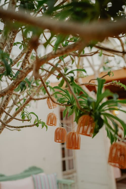 Des cages à oiseaux en osier orange pendent de délicates branches vertes dans la Suite Bleu Lavande de la Bleu Guest House, Saint-François