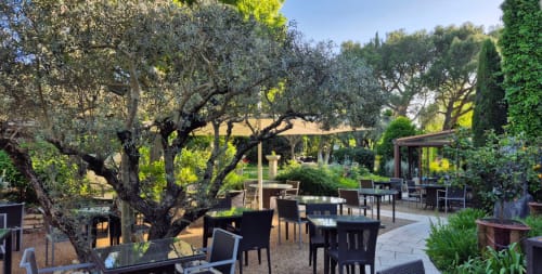 Outdoor terrace at Mas 9 Romanin in Saint-Rémy-de-Provence with ancient olive trees and black seating