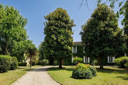 Jardin soigné du gîte Les Petits Toits à Galgon avec bâtiment recouvert de lierre, allées ombragées et pelouses verdoyantes