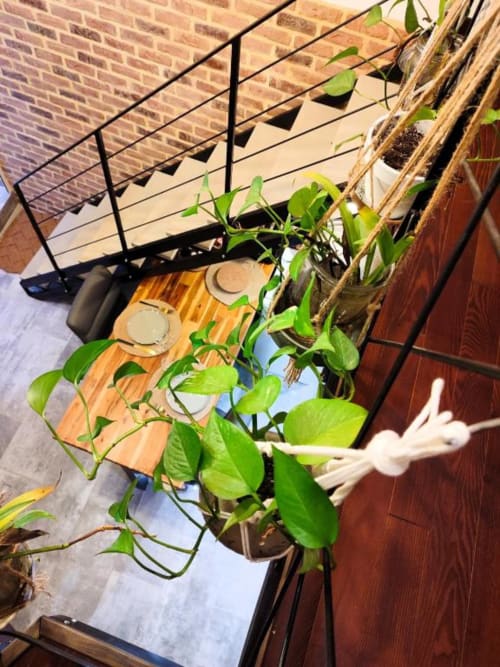 Balcon du Loft Le Travertin à Avignon avec plantes en pots, table en bois et vue sur la ville et les bâtiments en brique