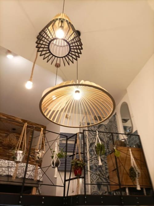 Luminaires suspendus modernes à abat-jour tressé et plantes suspendues dans le loft Le Travertin, Avignon