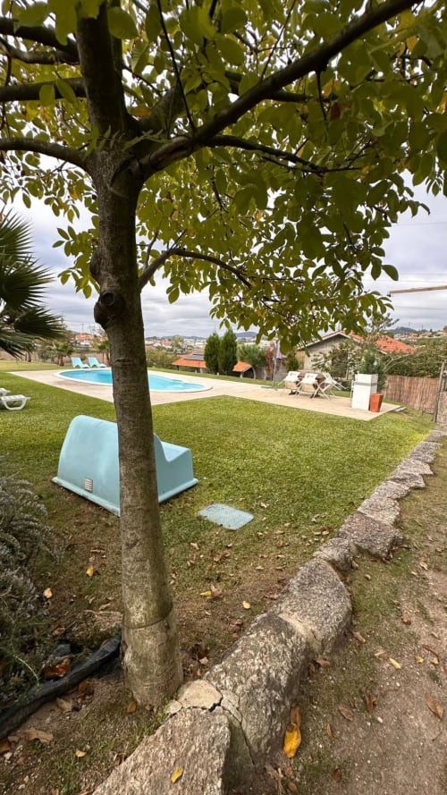 Jardim da Quinta de Carvalhal com árvore frondosa, gramado impecável e piscina em Guimarães