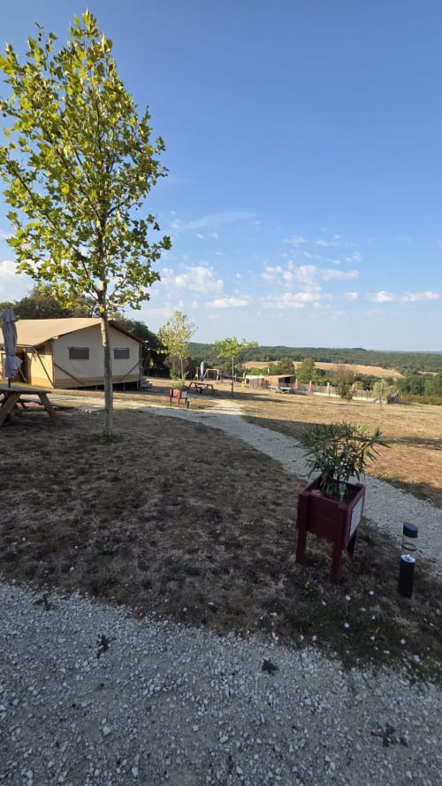 Glamping lodge met canvas tent en boom bij Home Sweet Lodge Aquitaine in Saint Germain et Mons