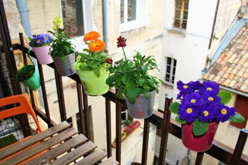 Plantes fleuries colorées en pots sur un balcon avec vue sur la cour intérieure de l'hôtel Oriflamme & Travertin à Avignon.