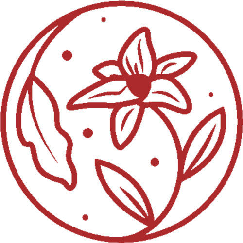 Illustration botanique rouge avec fleur et feuilles, logo du gîte La Maison sous les Vignes, retraite viticole française
