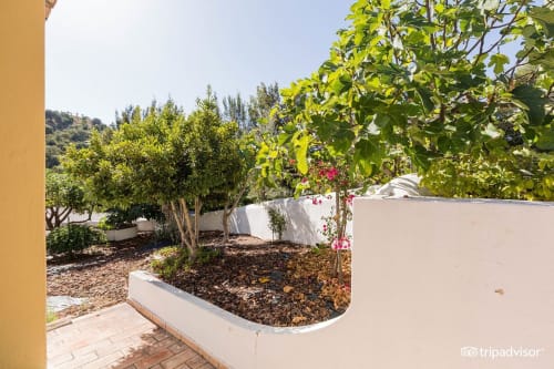Exuberante pátio ajardinado na Herdade da Côrte com paredes brancas, flores trepadeiras e árvores frondosas em Tavira