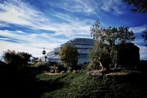 Bâtiment moderne aux formes courbes et façade vitrée dominant un paysage verdoyant et sa faune à La Maison sous les Vignes