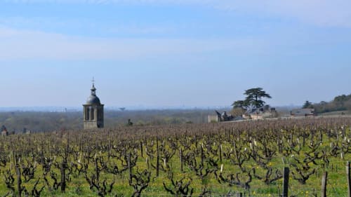 Paysage viticole avec clocher historique et manoir en Bourgogne, région viticole de France