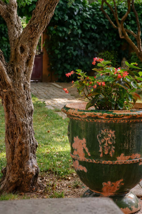 Jardinière rustique verte avec fleurs rouges près d'un tronc d'arbre ancien à l'Auberge du Parc à Correns