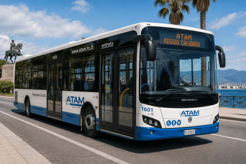 Autobus ATAM a Reggio Calabria vicino al lungomare con palme e costa