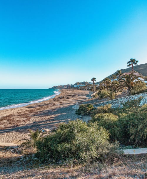 Vista de la playa costera de Mojácar con palmeras, mar turquesa y orilla arenosa junto al Smart Hotel Cabo Sur