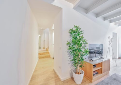 Corredor moderno da pensão do Porto com piso em madeira, paredes brancas, planta em vaso e unidade de TV em madeira