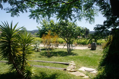Jardins luxuriants de la Clos Bb B&B à Saint-Cyr sur Mer avec vignobles et vues sur la campagne