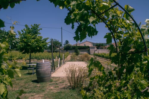 Terrasse de vignoble au Clos Bb avec tonneau en bois, vignes et bâtiments ruraux à Saint-Cyr sur Mer